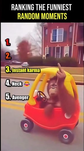 Ranking the Funniest Random Moments 😂💀