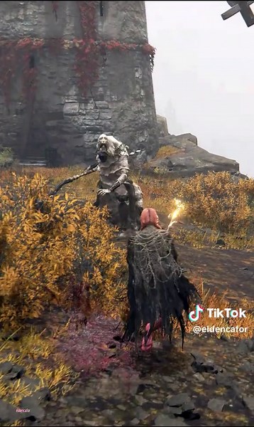 Elden Ring: Conquering the Hardest Parrible Foe