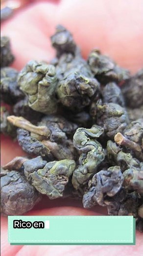 Así se cultiva el té oolong en Taiwán