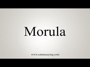 How To Say Morula
