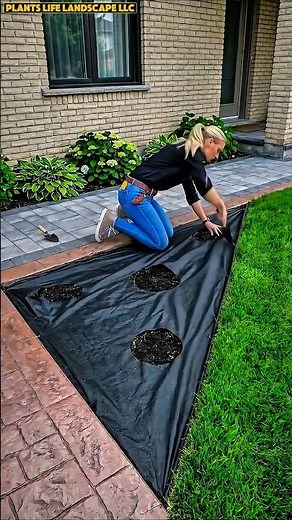 2026 Garden Trends: Modern Edging & LED Lighting Upgrade #shorts