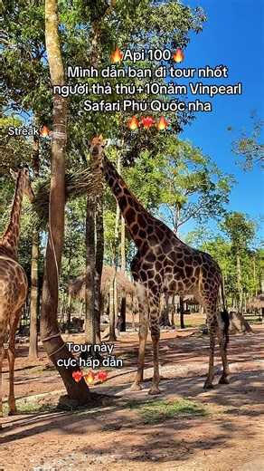 Tour Vinpearl Safari Phú Quốc Kỷ Niệm 10 Năm