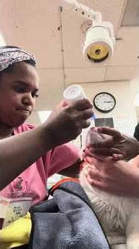 Penn Foster Externship 1 - Skill #23 - Feline Ophthalmic Eye Drops Application