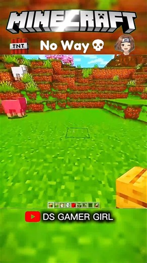 OMG! Transparent Glass Hack in Minecraft 😱