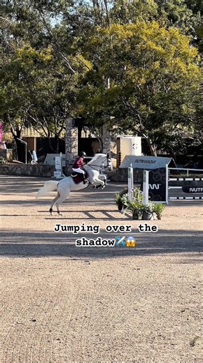 Jumping over the shadow #amazing #horse #equestrian #fyp #horseriding #viralshorts ctto:‪@Gilary_eq‬