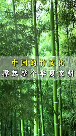 中国的竹文化，撑起整个华夏文明#认知 #中国的竹文化 #竹子 @抖音热点 @抖音上热门 @抖音小助手