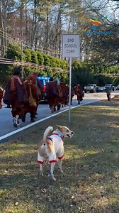 4.3M views · 247K reactions | School's Out for Aloka! ‍ During the...