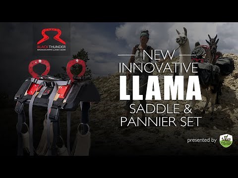 Best Llama Saddles and Pannier Set