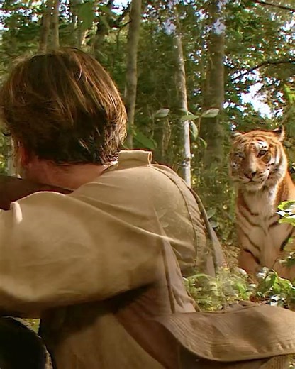 Two tigers. One unbreakable bond. #film#movie#shorts