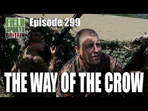 Fieldsports Britain - The Way of The Crow
