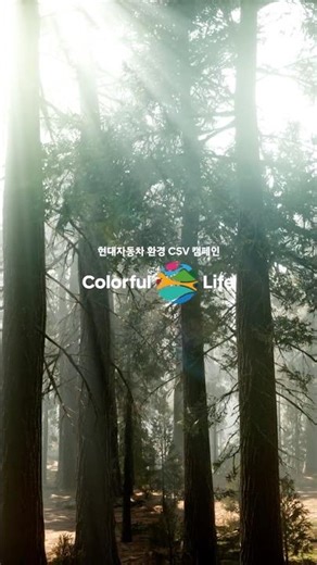 2025 환경 CSV 캠페인 ‘Colorful Life’ | Hyundai Continue | #Shorts