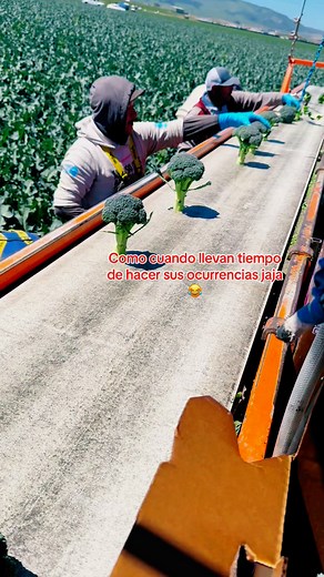 1.1K views · 3K reactions | #Virareelsシ #istagramreels #cortando #brócoli | Adelaida Lopez | Facebook