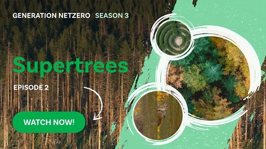 Did you know that one of the lowest cost forms of carbon capture is a tree? 🌳 In the second episode of Generation NetZero season three, we spoke to Maddie Hall, CEO & Co-Founder of Living Carbon to learn how their #Supertrees can absorb more carbon from the atmosphere. If you missed the first episode about the role of #nature in tackling the #climate crisis, click here https://youtu.be/PCowFk8Dq44?feature=shared #sustainableliving #GenerationNetZero | Temasek