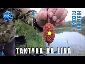 JAK ŁOWIĆ SKUTECZNIE LINY🎣