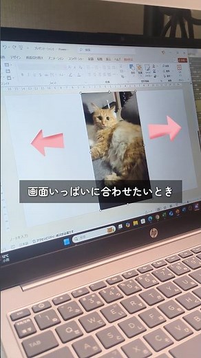 【PowerPoint便利術】縦長の画像を横幅にぴったり合わせる方法 #powerpoint #便利術