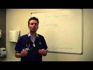 Urine Glucose testing in diabetic pets - Dr Stijn Niessen explains