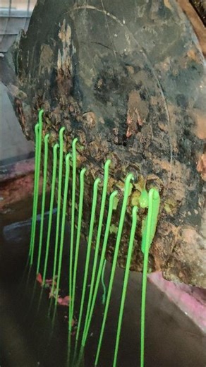 America’s Green Plastic Scrap 🇺🇸 | Turning Waste into Premium Granules ♻️