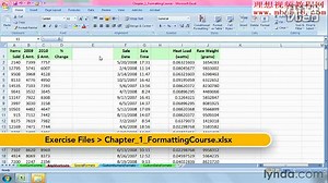 Excel 2007数据处理教程 共46讲
