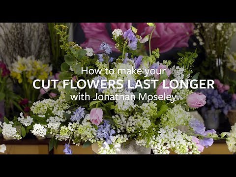 How to make your cut flowers last longer | Grow at Home | Royal Horticultural Society