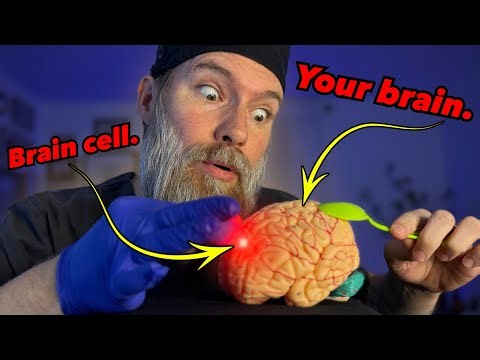 ASMR Fast Cranial Nerve Exam