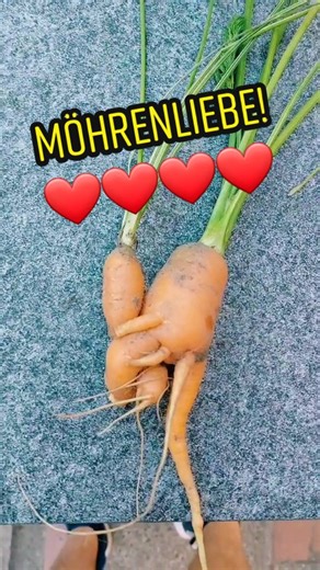 Möhrenliebe: 17 Stifte, Eine Möhre und Ein HDMI Kabel Video