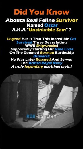 Unsinkable Sam: The Luckiest Cat in WW2