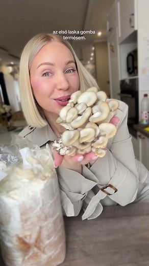Laskagombás főzés Zsofinak – Finom recept!