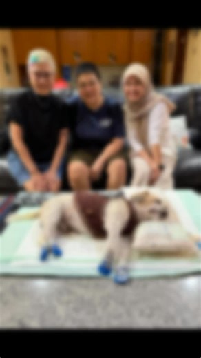 Esther E on Instagram: "My NANO#2025#9desember#7,20 loving Memory ❤️❤️❤️❤️❤️❤️❤️❤️"