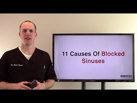 11 Blocked Sinus Causes