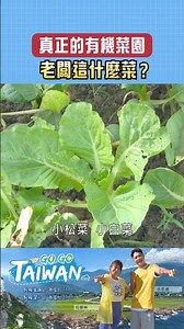 驚見神祕植物？有機菜園眼力大考驗...｜#gogotaiwan #shorts