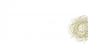 Tumbleweed Dry Herb Rolling Wind Dry Stock Footage Video (100% Royalty-free) 3435291171 | Shutterstock