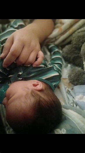 Nuevo bebé en la familia Brown de Alaska