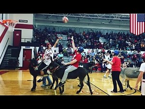 Donkey basketball: Fundraising game criticized for animal abuse - TomoNews