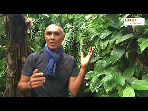 Le secret des poivres