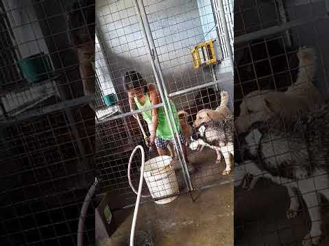 Bathing my pets and clean up the cage..#pets #ourpet