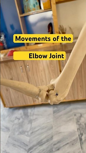 Elbow Range of Motion#humananatomy #draqilshah #education #physiotherapy #elbow #anatomy #biology