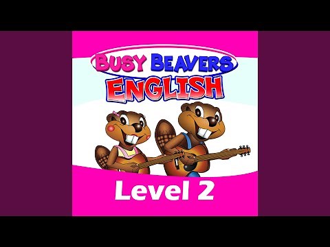 Drinks and Condiments