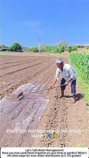 Channeling Water to the Field – Traditional Flood Irrigation 🌊🌽