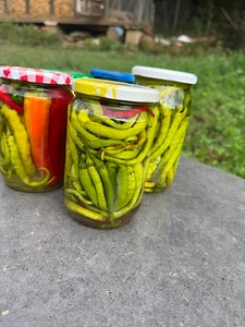 ✨Ardei iuti in otet, voi cum ii faceti? #ardeiiutilaborcan | Idei de retete delicioase si simple