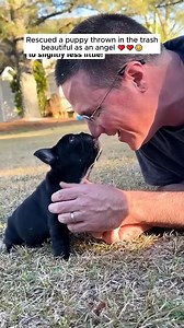 2.1M views · 38K reactions | Rescue Missions That Changed Animals’ Lives Forever! | kelompok tari lewai langit Tanjung Isuy | Facebook