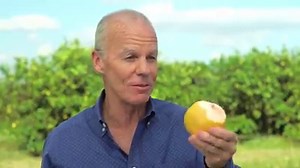 93K views · 209 reactions | For the best-tasting juice, go straight to the source. | Florida Grapefruit | Facebook
