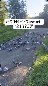 #Rasservice #askras #selfawareness #rasfriends #healing #mentalhealthawareness #therapy #raswisdom #raszone #consciousness | RAS SERVICE