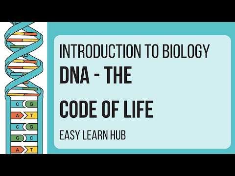 Introduction to Grade12 Biology: DNA - The Code of Life