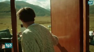 INCHIESTA SULLA MORTE DI MICHELE MERLO L'Azienda sanitaria di Bologna ha aperto un'inchiesta interna sulla morte di Michele Merlo, il giovane cantante stroncato da una leucemia fulminante, dopo i dubbi sulle cure sollevati dalla sua famiglia. Il cordoglio degli amici e delle star della musica L'inviata Maria Teresa Palamà dal Tg3 delle 19 del 7 giugno 2021 | Tg3