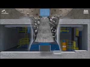 Processing of Aggregates in Plant