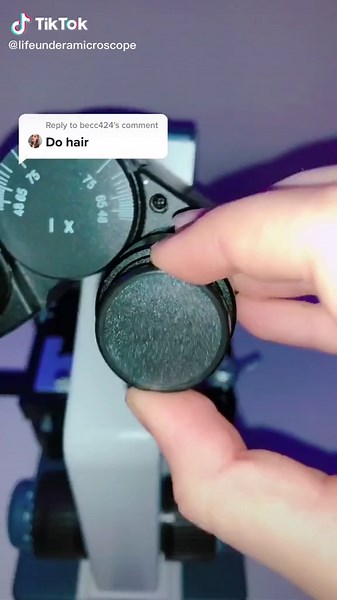 Hair Under Microscope: Distilled Water Experiment