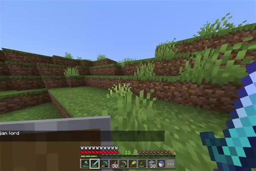Minecraft Tips for Playing with Friends