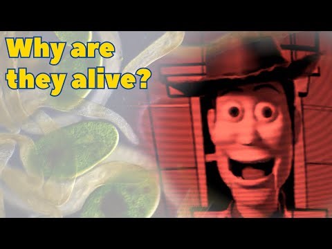 The Toy Story Hivemind Bug Theory