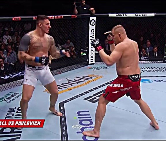 Brutal Heavyweight MMA Knockouts Compilation