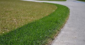 Erosion Control | GrassMats